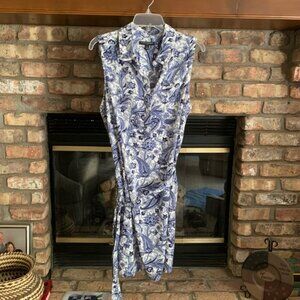 Banana Republic Blue Paisley Dress